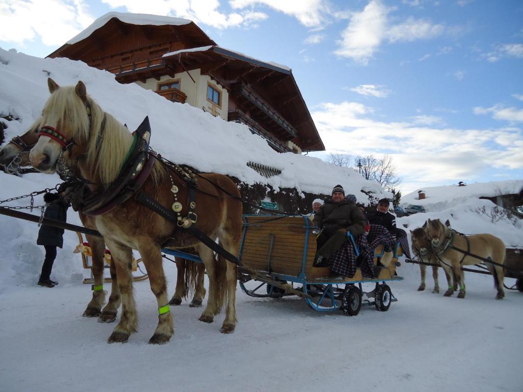 Hotel Sporthof Schladming Εξωτερικό φωτογραφία